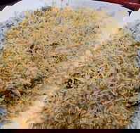 Man-O-Salwa - Clayton - Tourism Search