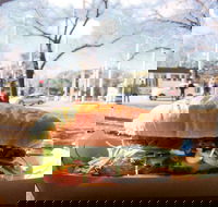 Seor Churro - Tourism Search