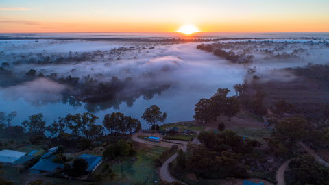 Caudo Vineyard Cellar Door - Tourism Search 1