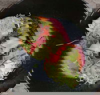 Crowded House - Tourism Search