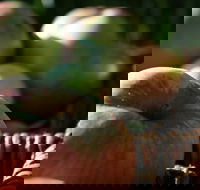 Denmark Heritage Cider Company - Tourism Search