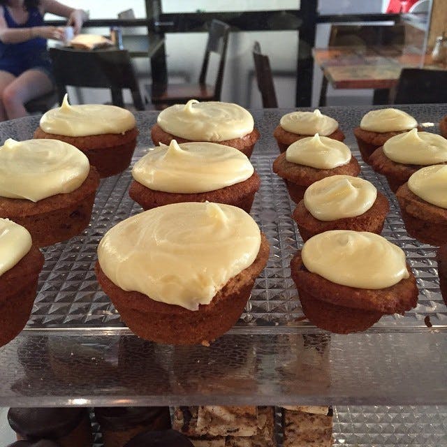 Cremorne Point NSW Tourism Search