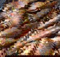 Pacific Eats - Tourism Search