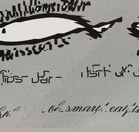 Williamstown Mussels - Tourism Search