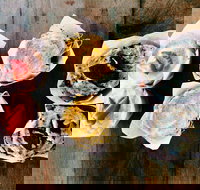 Blackbird Espresso - Tourism Search