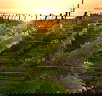 Bennetts on Bellarine Winery - Tourism Search