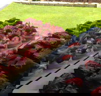 That Food Truck - Tourism Search