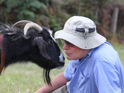 Providence Vineyards - Tourism Search 0