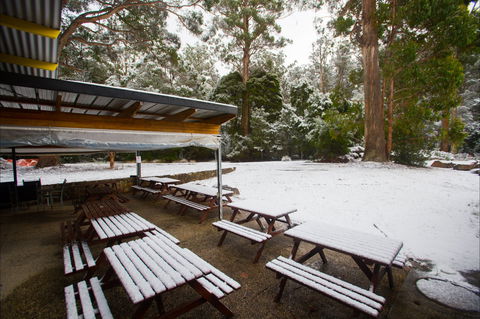 Waterfalls Cafe & Gallery - Tourism Search 0