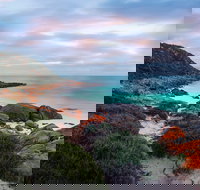 Marion Bay Tavern - Tourism Search