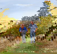 WayWood Wines - Tourism Search