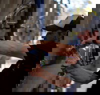 Wild Hop Brewing Company - Tourism Search