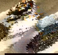 Frollicking Frog - Tourism Search