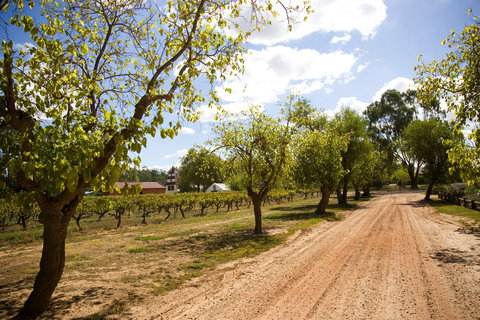 Tahbilk Winery And Vineyard - Tourism Search 1