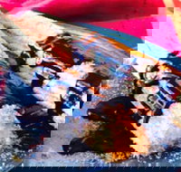 Donut King - Tarneit - Tourism Search