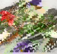 Just Earth - Tourism Search