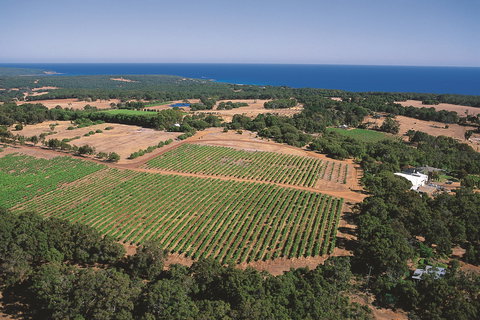 Wise Wine - Tourism Search 0