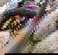 Arabella's Charcoal - Tourism Search