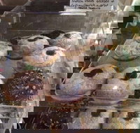 Gaffney Place - Tourism Search