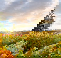 Hahndorf Hill Winery - Tourism Search