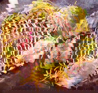 Toshiya - Tourism Search