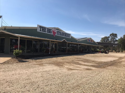 The Big Strawberry - Tourism Search 1
