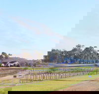 Blacklea Vineyard and Olive Grove - Tourism Search