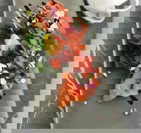 KALV  Co. Cafe and Wine Bar