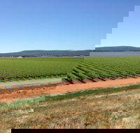 Melange Wines - Tourism Search