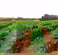 3 Drops - Tourism Search