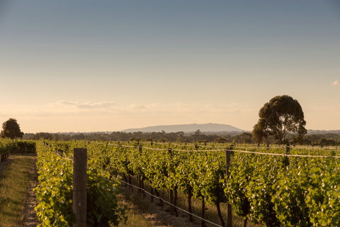 Norton Estate Wines - Tourism Search 2