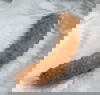 Blue Ocean - Tourism Search