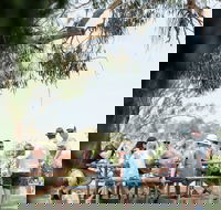 St Leonards Vineyard Caf - Tourism Search