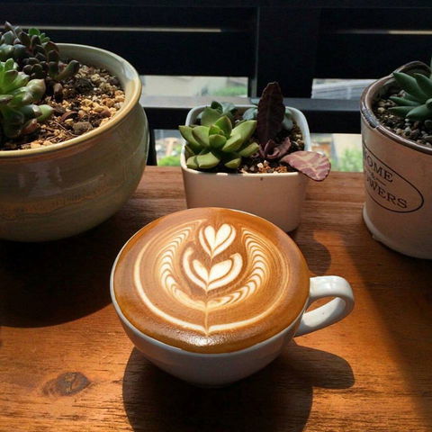 V Espresso - Tourism Search 0