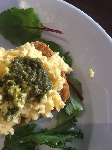 Bonappetite - Tourism Search 0