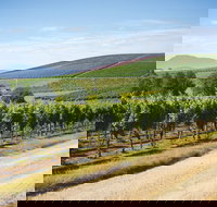 Jansz Tasmania - Tourism Search