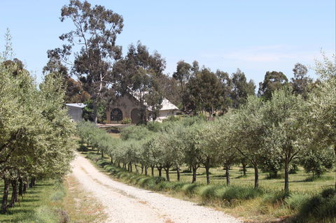 L'Oliveraie Olive Grove - Tourism Search 0