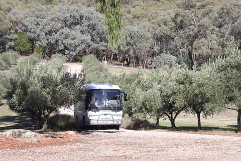 L'Oliveraie Olive Grove - Tourism Search 2