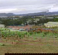 Villa d Esta Vineyard - Tourism Search