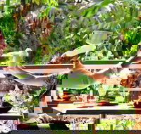 Jaques Coffee Plantation