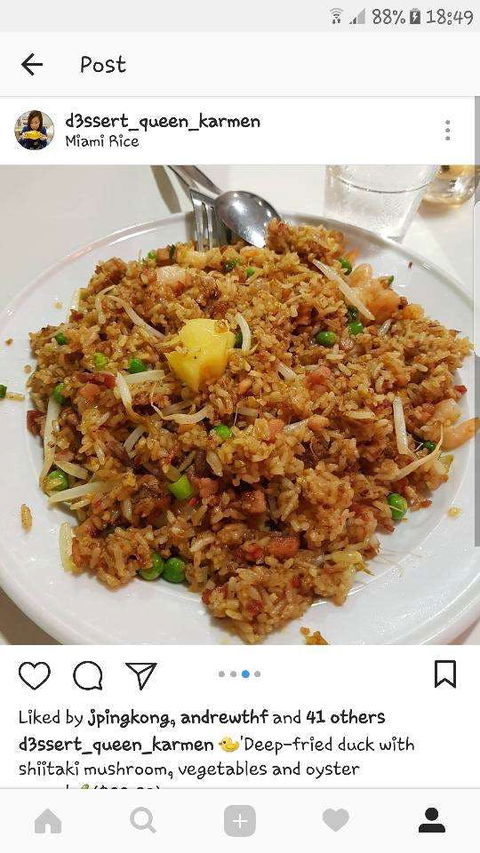 Miami Rice - Tourism Search 0