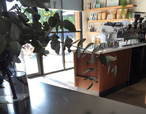 Sixpence Coffee Roasters - Tourism Search 2