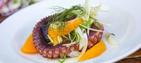 O Bar & Restaurant - Tourism Search 3