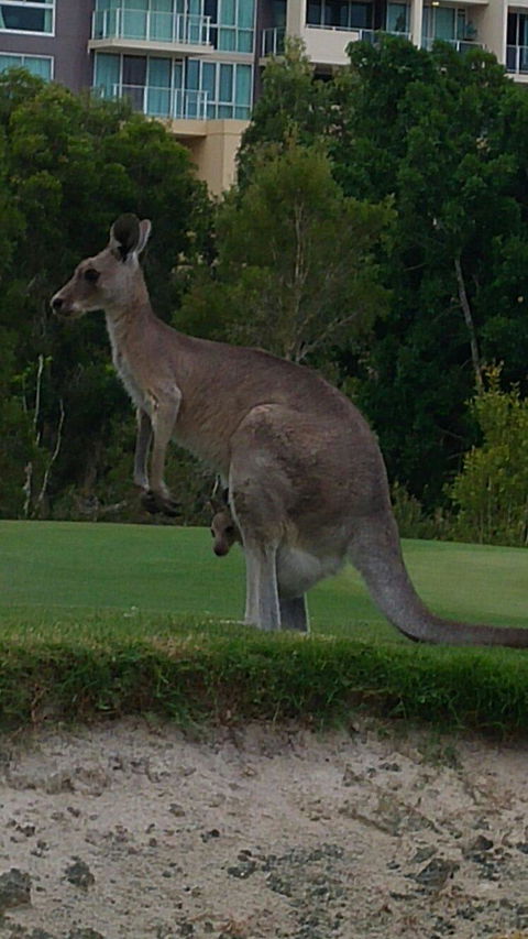 T On Course - Tourism Search 3