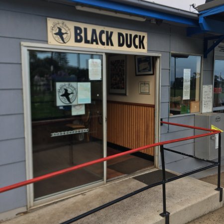 Wombarra NSW Tourism Search