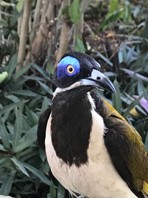 Stockyard Gallery - Cafe - Tourism Search 2