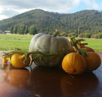 Mount Gnomon Farm - Tourism Search