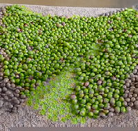 Wattle Hill Olives - Tourism Search