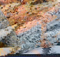 Lawley's Bakery Cafe - Tourism Search