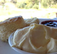 Tanglefoot Winery Cafe - Tourism Search